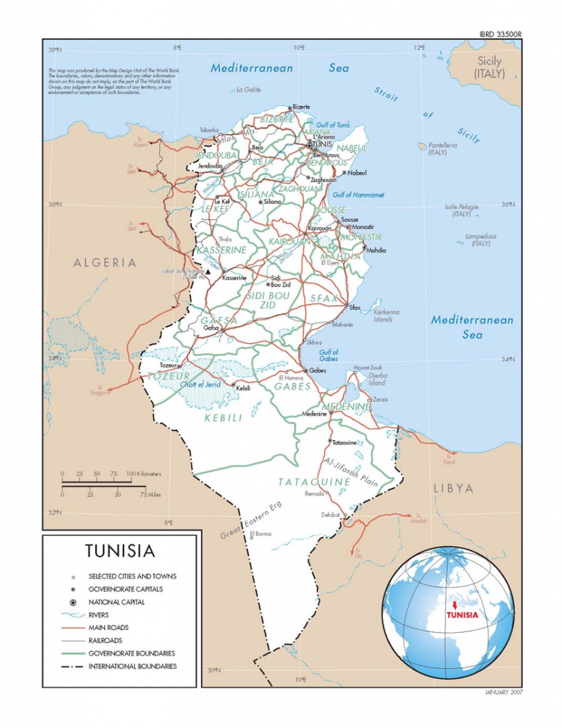 IBRD Tunisia Development Policy Loan | Public Intelligence