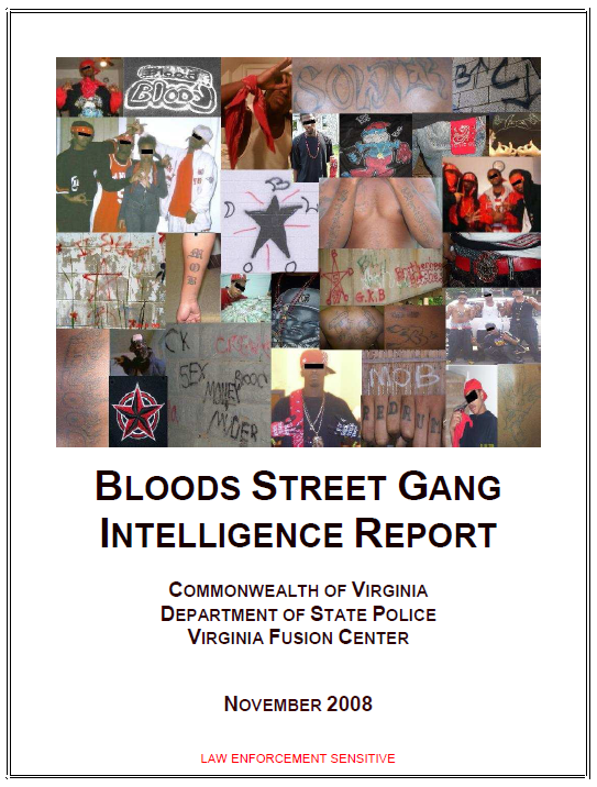 Virginia Fusion Center Bloods Street Gang Intelligence Report Public