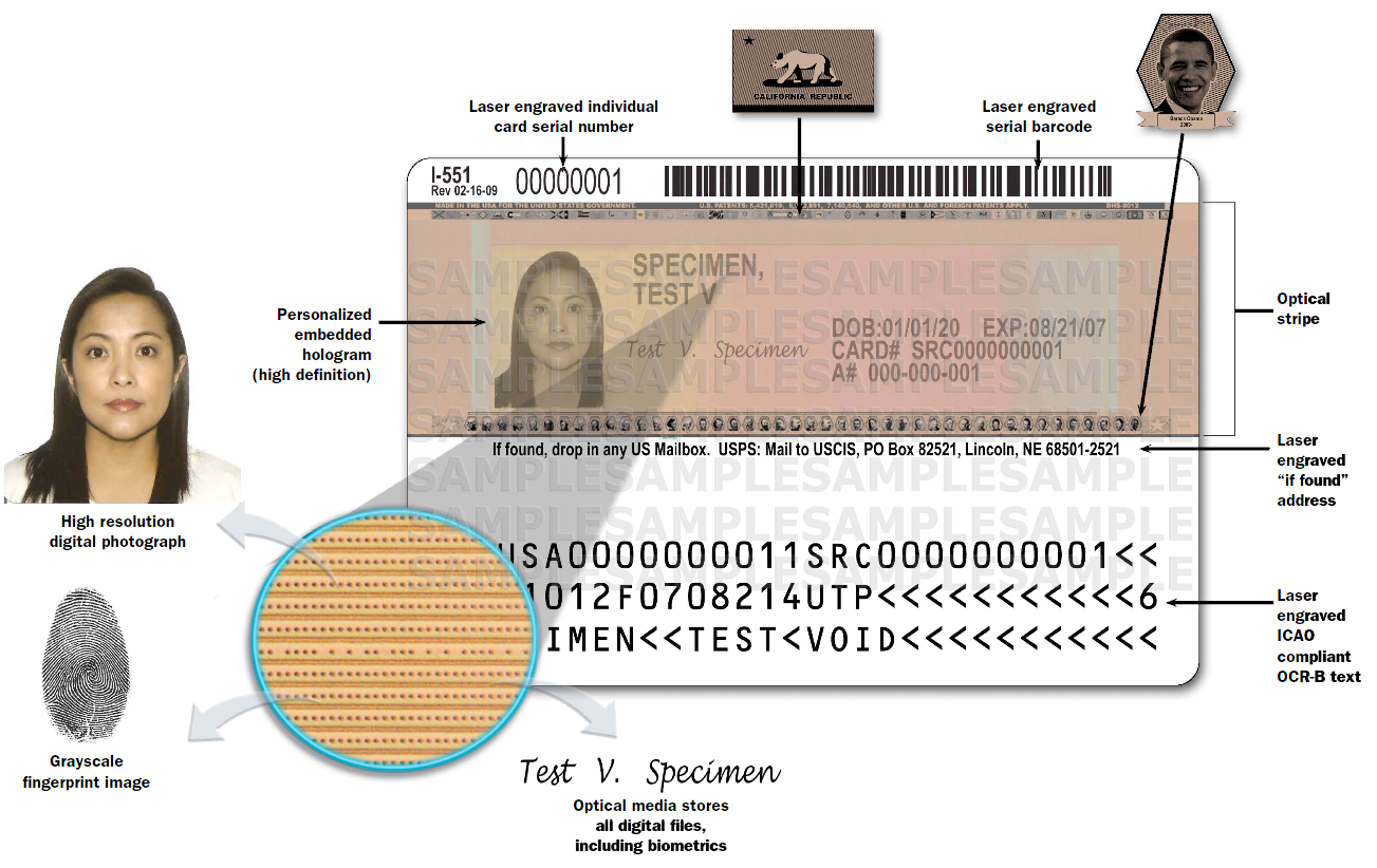 Us Green Card 2024 Afton Ardenia