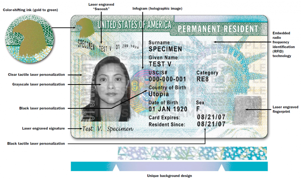 U.S. Citizenship and Immigration Services Permanent Resident Green Card