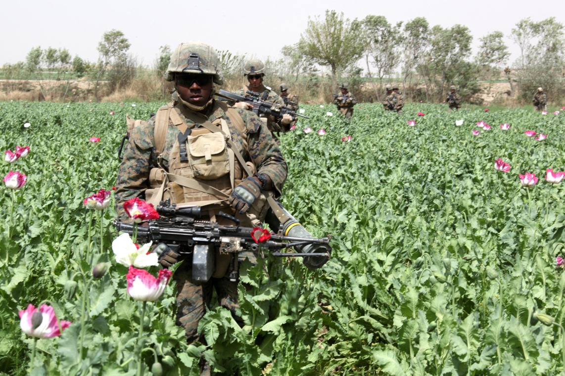 More Photos of US/NATO Troops Patrolling Opium Poppy Fields in Afghanistan Public Intelligence